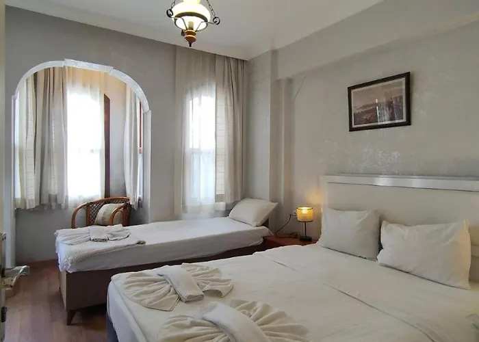 Antique And מלון