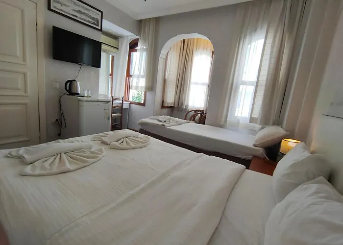 Antique And מלון *