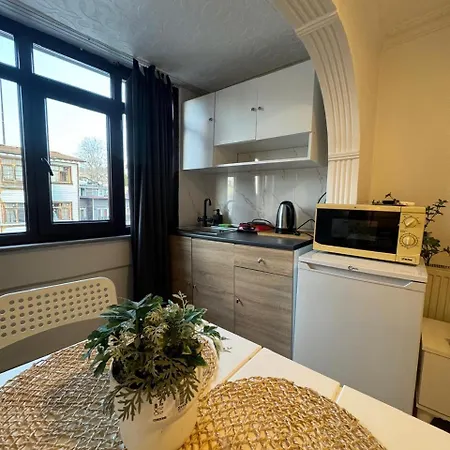 Antique And Hotell Istanbul